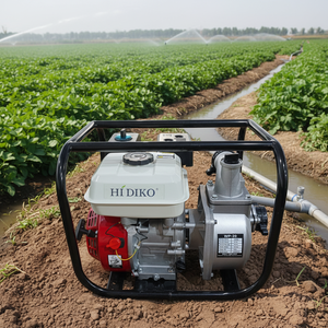 2, <span class=keywords><strong>3</strong></span>, 4 İnç Motorlu Benzinli Su Pompası - Product Image 1