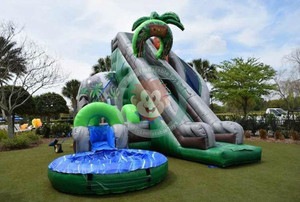 <span class=keywords><strong>Inflatable</strong></span> Trượt Nước Dành Cho Người Lớn Trẻ Em <span class=keywords><strong>Inflatable</strong></span> Trượt N <span class=keywords><strong>Slide</strong></span> <span class=keywords><strong>Pool</strong></span> Đối Với Thương Mại - Product Image 2