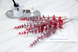 ขายส่งงานแต่งงานตกแต่งกลางแจ้งใบประดิษฐ์ยูคาลิปตัส - Product Image 4