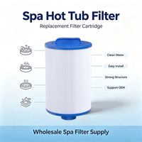 Filtre plissé en papier pour spa et piscine, meilleur prix de gros, avec cartouche filtrante professionnelle pour piscines