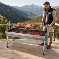 Four à rôtisserie portable à hauteur réglable pour usage domestique et professionnel, fumoir de jardin et machine à barbecue commerciale en acier inoxydable