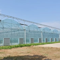 Serre Multispan à bas prix pour légumes Serre personnalisée Serre agricole rentable de qualité supérieure à vendre