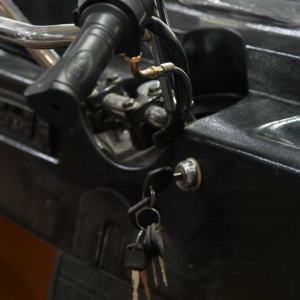 エチオピアの新しい250cc 3輪モーターサイクルクローズドボディ1000Wパワー水冷ガソリンエンジン - Product Image 6