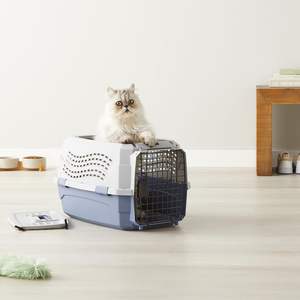   Basics <span class=keywords><strong>Transporteur</strong></span> de voyage pour animaux de compagnie à chargement par le haut à 2 portes, rigide, gris bleu, pour chiens et chats - Product Image 1