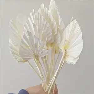 Großhandel palm blatt form-Boho Blumen arrangement Boho Dekor Natürliche getrocknete Mini Palm blatt Speer Palm Spear Kerzen form