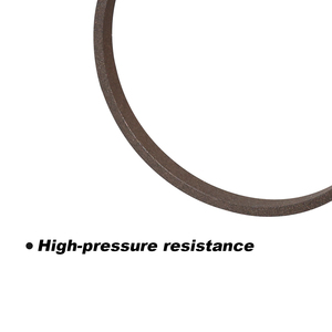 Spg טבעת שקופיות ptfe nbr/fkm/fkm/fkm/150 ℃ 50mpa לחץ גבוה חיכוך נמוך - Product Image 6