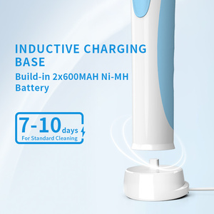 <span class=keywords><strong>Bestlife</strong></span> K1619S Oscillateur de brosse à dents électrique oscillant rechargeable avec charge directe inductive pour adulte - Product Image 6