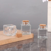Offre Spéciale – Mini Bouteille Carrée Vide en Verre Transparent de 50 ml pour Herbes et Épices de Cuisine avec Bouchon en Liège