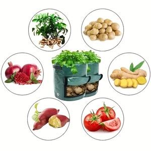 Sac <span class=keywords><strong>de</strong></span> plantation <span class=keywords><strong>en</strong></span> PE épaissi pour la culture <span class=keywords><strong>de</strong></span> pommes <span class=keywords><strong>de</strong></span> terre, idéal pour le jardinage domestique, les balconnets et la culture <span class=keywords><strong>de</strong></span> <span class=keywords><strong>légumes</strong></span>, seau <span class=keywords><strong>de</strong></span> culture pour semis - Product Image 3