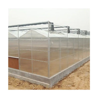 Grote Eenvoudige Kas Met Hete Gegalvaniseerde Stalen Frame Polycarbonaat Hoes Voor Het Kweken Van Groenten