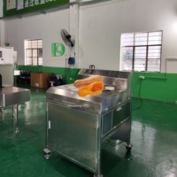 Dq Guangzhou Daqiao Industriële Commerciële Fruitsnijmachine Pompoen Productielijn Met Motor Vers Fruit Snijden Verwerking