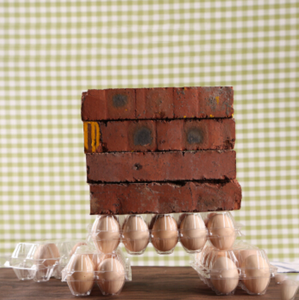 2022 hot sale 6 hole quail Transparent Pet Plastic Blister plastic egg quail eggs tray