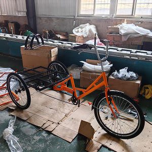 Venta Directa de Fábrica Oferta Especial <span class=keywords><strong>Triciclo</strong></span> de Carga de 24 Pulgadas para Entrega Exprés de 3 Ruedas Cerrado con Chasis Robusto y Cabina Grande de Acero - Product Image 2