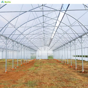 Invernadero Agrícola Grande de 40x40m, Tipo Túnel con Techo de Láminas de Polietileno, Estructura de Acero Galvanizado en Caliente y Cubierta de Láminas de Policarbonato - Product Image 2