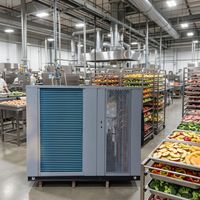 Betaalbare warmtepomp fruitdrooginstallatie voor landbouwcoöperaties, mango verwerking, 150kg, weinig onderhoud