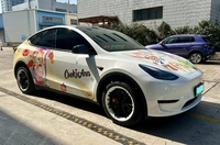 Película Protectora de Pintura para Carrocería, Diseño de Anime Automotriz, PVC Autoadhesivo, Resistente a Arañazos