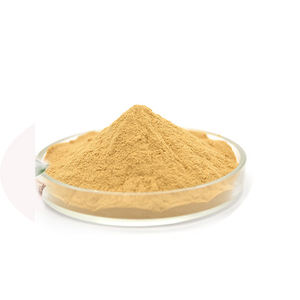 ผลิตภัณฑ์เสริมอาหารธรรมชาติสารสกัดจากส้ม Hesperidin ผง95% ส้ม Aurantium สารสกัดจาก - Product Image 1