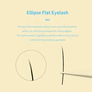 GLAMLASH Individual Nature Flat Ellipse Eyelashes Soft Split-Tips Faux Eyelash Extension Supplies - Product Image 2