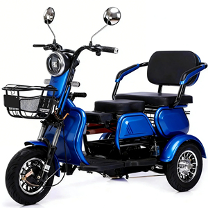 Precio de Fábrica: Mototaxi de Pasajeros de 60v y Alta Potencia (1500w) con Carrocería Abierta, Capacidad de Carga de 400kg para Adultos - Product Image 5
