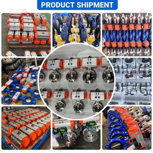 Válvula Neumática de Baja Presión de Acero Inoxidable 304 con Sellado Suave y Personalización OEM - Product Image 3