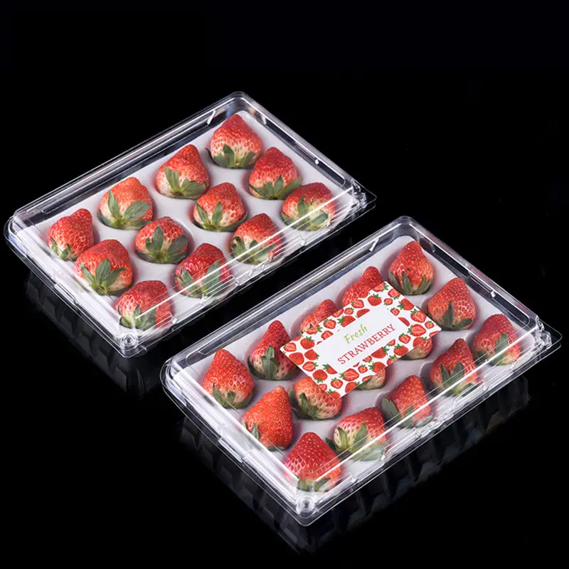 신선한 과일 저장 용기 투명 일회용 플라스틱 과일 포장 상자 딸기 용