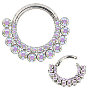 Factory Wholesale Titanium CZ Pave Face With Bezel CZ Line <b>Hinged</b> Segment Ring Fashion Piercing Body Jewelry Nose Hoop Rings - Product Image 3