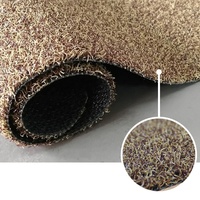 Tapis anti-poussière en polypropylène nettoyeur de chaussures anti-poussière tapis de porte à poils durs anti-dérapant pour cuisine et dans la porte et l'extérieur