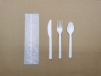 Vente en gros d'usine, cuillère biodégradable en amidon de maïs 100% CPLA, couverts jetables en plastique, cuillère CPLA, ustensiles