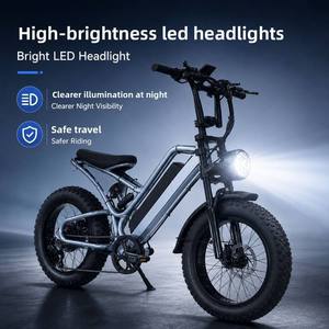Vélo de montagne électrique 500W 48V 10.4Ah 20 pouces avec pneus larges en acier haute teneur en carbone pour vignobles, vergers et prairies - Product Image 5