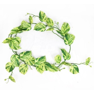 <span class=keywords><strong>Guirlande</strong></span> artificielle de Monstera de 170 cm de long avec 31 feuilles, décoration de <span class=keywords><strong>pergola</strong></span>, <span class=keywords><strong>guirlande</strong></span> de plantes artificielles - Product Image 5
