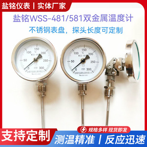 Wss 481 581 Bimetallic Thermometer Stainless Steel Analog Display Remote Transmission Temperature Instrument - Product Image 5