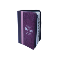 Bible Sacrée Version NLT avec Concordance et Cartes, Bible d'étude pour Étudiants et Adultes, Édition Cadeau, Papier Offset, Carton