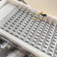 2D 3D 4D 5D 6D 7D Tige courte 0.07 Ventilateurs d'extension de cils Premade Volume Fan Lashes Heat Bonded Eyelash Extensions