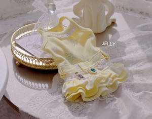 Reggicalze per cani graziose primavera estate gonna sottoveste vestito di jeans - Product Image 4