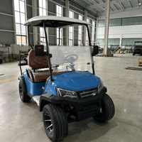 Voiturette de golf électrique 2 places pas chère, batterie lithium, design compact mini, certifiée CE, prix usine OEM ODM, en stock à vendre