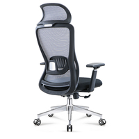 Chaise de bureau ergonomique en maille avec soutien lombaire, chaise pivotante réglable pour le bureau à domicile