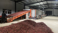 Machine de séchage industrielle à bande maillée multicouche à économie d'énergie, adaptée au séchage des tranches d'ananas, de manioc, de tomates et de poivrons