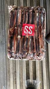 Dernier lot Calmar <span class=keywords><strong>Illex</strong></span> congelé d'origine argentine Jigger congelé entier pêché - Product Image 3