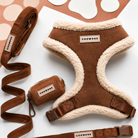 Ensemble de harnais pour chien personnalisé pour l'automne, veste en polaire sherpa douce avec laisse pour chien, harnais de promenade réglable et chaud pour chiots de petite taille