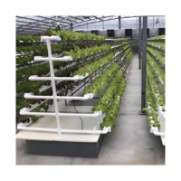 Système de culture hydroponique multi-couches de type A, équipement d'agriculture hydroponique verticale pour serre tunnel