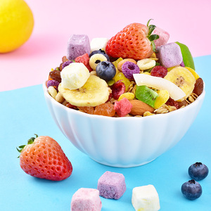 Sữa chua trái cây yến mạch ăn khô Sữa chua trái cây yến mạch ngũ cốc ăn liền 500g/lon - Product Image 2