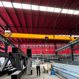 Grúa Puente de Alta Calidad, Viga Única, 20 Toneladas, 10 Toneladas, 5 Toneladas, 1 Tonelada, 2 Toneladas, Precio de Grúa Aérea - Product Image 3