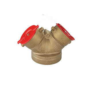 FM Two Way Brass EXPOSED INLET FIRE DEPT <strong>CONNECTION</strong> Plate and Cover <strong>Set</strong> Model 8561005 Zhejiang Origin - Product Image 3