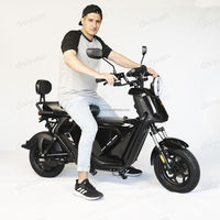 Foshan DISIYUAN rem cakram hidrolik, Motor Off Road sepeda listrik 100 Watt, kargo keluarga e-bike 40Ah 50ah