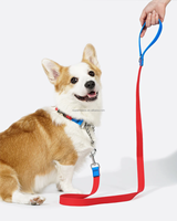 Laisse pour chien avec poignée et crochet de haute qualité, avec anneau en O, imperméable et durable, idéale pour la randonnée et la marche en extérieur