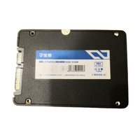 Hard Disk SATA SSD 512GB 2,5 Inci Merek Cina