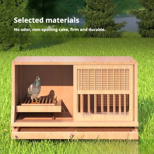 Jaula de Cría y Apareamiento para <span class=keywords><strong>Palomas</strong></span>, Nido de Madera para <span class=keywords><strong>Palomas</strong></span> de Carreras, Conjunto para Exteriores - Product Image 2