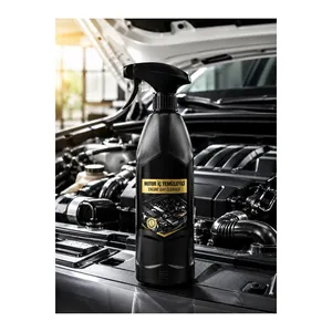 Limpiador Desengrasante de Motores Royalchem 500 ml en Aerosol, Profesional para Lavado y Detallado de Autos - Product Image 1