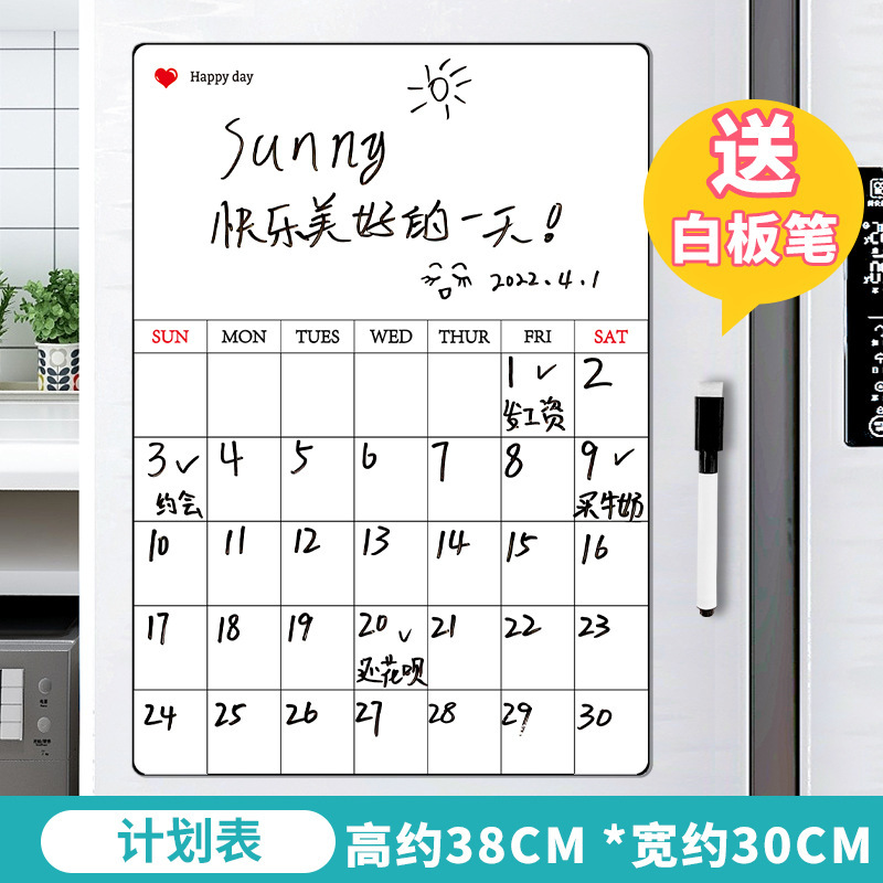 Schedule Magnetic Pen