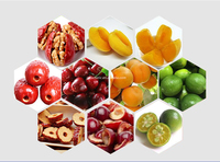 Prix de la machine à dénoyauter les graines de fruits frais dattes pêche prunes abricot pomme olive entièrement automatique